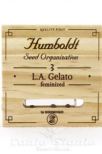 L.A. Gelato - HUMBOLDT SEED