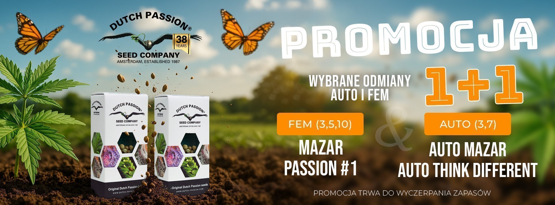 Promocja 1 + 1 Ducth Passion