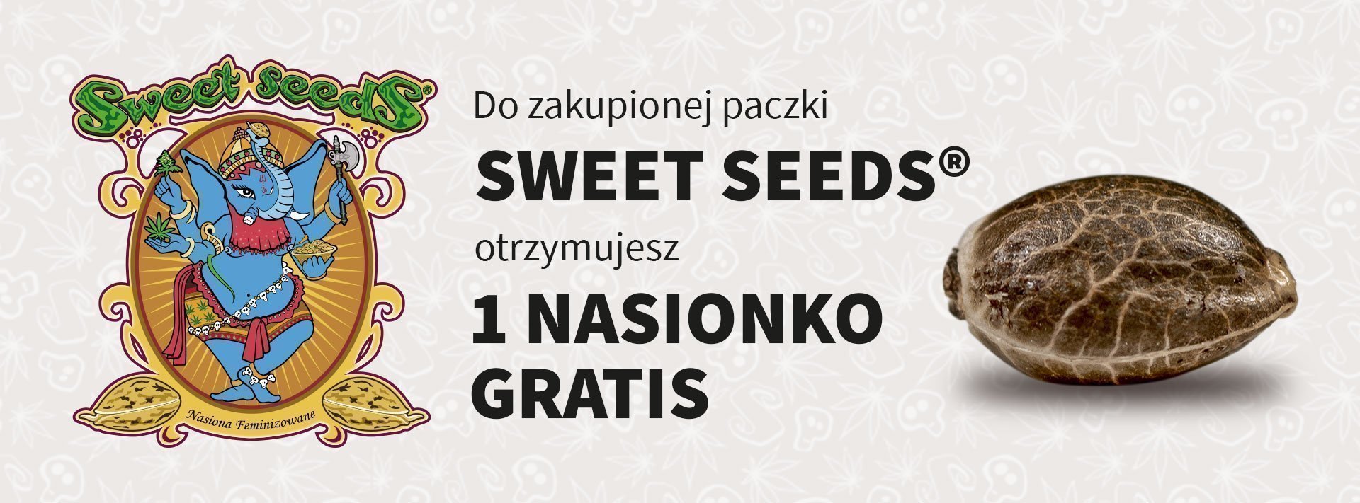 Promocja Sweet Seeds 1 nasiono gratis