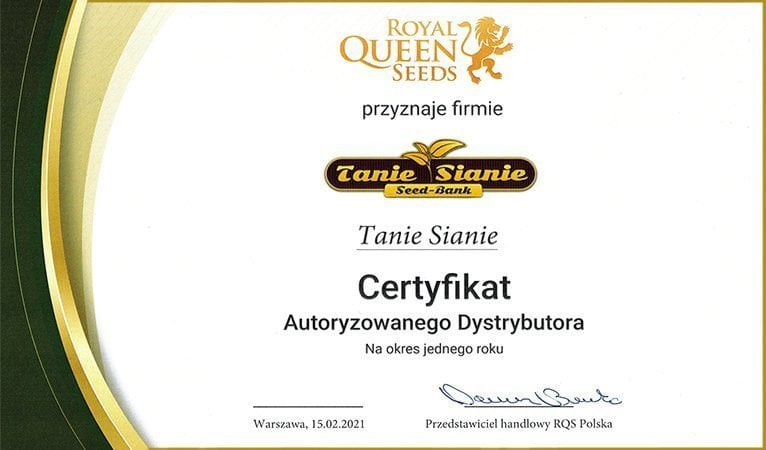 certyfikat dystrybutor royal queen seeds